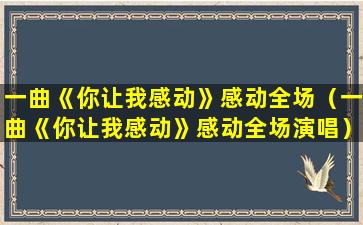 一曲《你让我感动》感动全场（一曲《你让我感动》感动全场演唱）(你让我感动作文600字)