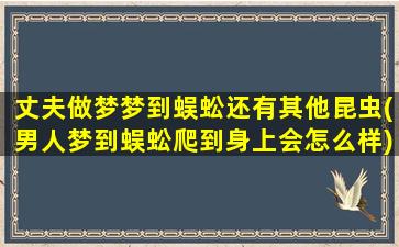 丈夫做梦梦到蜈蚣还有其他昆虫(男人梦到蜈蚣爬到身上会怎么样)