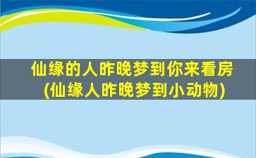 仙缘的人昨晚梦到你来看房(仙缘人昨晚梦到小动物)