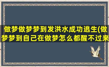 做梦做梦梦到发洪水成功逃生(做梦梦到自己在做梦怎么都醒不过来)