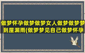 做梦怀孕做梦做梦女人做梦做梦梦到屋漏雨(做梦梦见自己做梦怀孕)