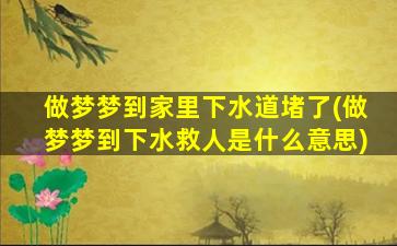 做梦梦到家里下水道堵了(做梦梦到下水救人是什么意思)