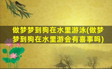 做梦梦到狗在水里游泳(做梦梦到狗在水里游会有喜事吗)