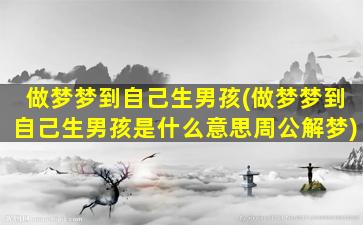 做梦梦到自己生男孩(做梦梦到自己生男孩是什么意思周公解梦)