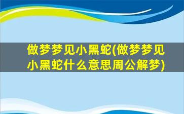 做梦梦见小黑蛇(做梦梦见小黑蛇什么意思周公解梦)