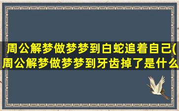 周公解梦做梦梦到白蛇追着自己(周公解梦做梦梦到牙齿掉了是什么意思)