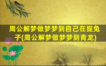 周公解梦做梦梦到自己在捉兔子(周公解梦做梦梦到青龙)