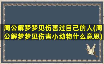 周公解梦梦见伤害过自己的人(周公解梦梦见伤害小动物什么意思)