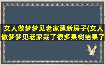 女人做梦梦见老家建新房子(女人做梦梦见老家栽了很多果树结果了)