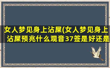 女人梦见身上沾屎(女人梦见身上沾屎预兆什么观音37签是好还是不好)