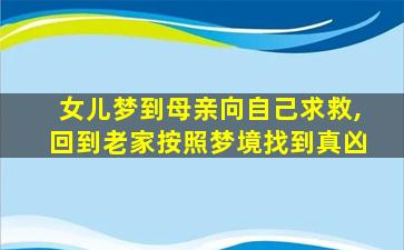 女儿梦到母亲向自己求救,回到老家按照梦境找到真凶