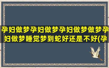 孕妇做梦孕妇做梦孕妇做梦做梦孕妇做梦睡觉梦到蛇好还是不好(孕妇做梦梦见其他孕妇)