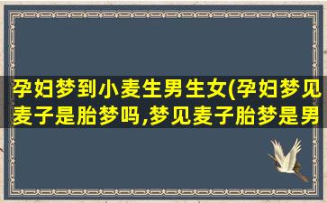 孕妇梦到小麦生男生女(孕妇梦见麦子是胎梦吗,梦见麦子胎梦是男孩女孩)