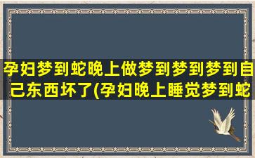 孕妇梦到蛇晚上做梦到梦到梦到自己东西坏了(孕妇晚上睡觉梦到蛇)