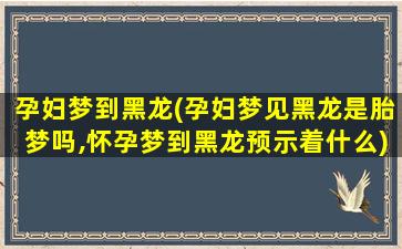 孕妇梦到黑龙(孕妇梦见黑龙是胎梦吗,怀孕梦到黑龙预示着什么)