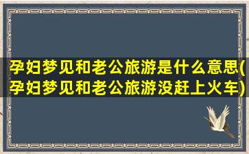 孕妇梦见和老公旅游是什么意思(孕妇梦见和老公旅游没赶上火车)