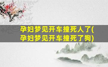 孕妇梦见开车撞死人了(孕妇梦见开车撞死了狗)