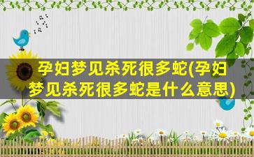 孕妇梦见杀死很多蛇(孕妇梦见杀死很多蛇是什么意思)