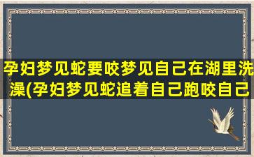 孕妇梦见蛇要咬梦见自己在湖里洗澡(孕妇梦见蛇追着自己跑咬自己)