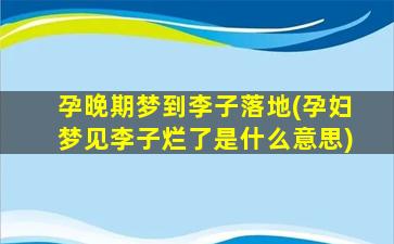 孕晚期梦到李子落地(孕妇梦见李子烂了是什么意思)