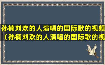 孙楠刘欢的人演唱的国际歌的视频（孙楠刘欢的人演唱的国际歌的视频）(孙楠刘欢的人演唱的国际歌的视频明天会更好)