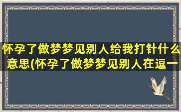 怀孕了做梦梦见别人给我打针什么意思(怀孕了做梦梦见别人在逗一只大肥猫)