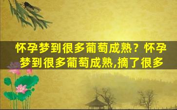 怀孕梦到很多葡萄成熟？怀孕梦到很多葡萄成熟,摘了很多