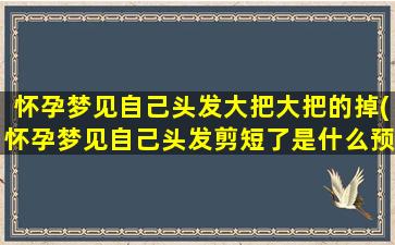 怀孕梦见自己头发大把大把的掉(怀孕梦见自己头发剪短了是什么预兆)