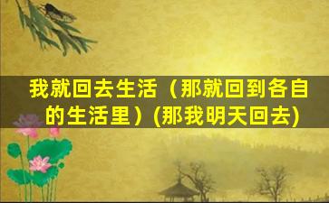 我就回去生活（那就回到各自的生活里）(那我明天回去)