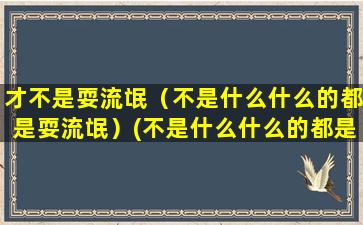 才不是耍流氓（不是什么什么的都是耍流氓）(不是什么什么的都是耍流氓)