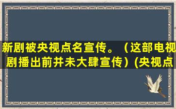 新剧被央视点名宣传。（这部电视剧播出前并未大肆宣传）(央视点名成毅新剧)