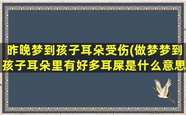 昨晚梦到孩子耳朵受伤(做梦梦到孩子耳朵里有好多耳屎是什么意思)