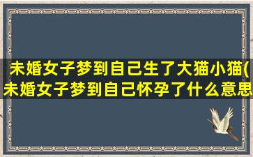 未婚女子梦到自己生了大猫小猫(未婚女子梦到自己怀孕了什么意思)