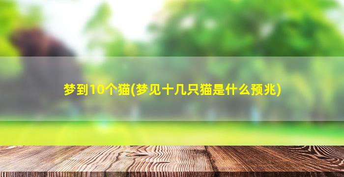 梦到10个猫(梦见十几只猫是什么预兆)