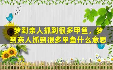 梦到亲人抓到很多甲鱼，梦到亲人抓到很多甲鱼什么意思