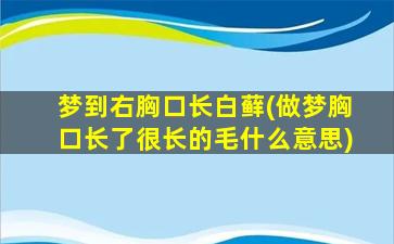 梦到右胸口长白藓(做梦胸口长了很长的毛什么意思)