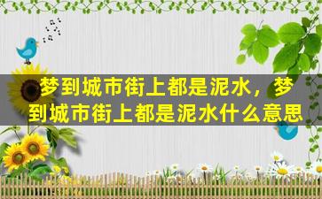 梦到城市街上都是泥水，梦到城市街上都是泥水什么意思