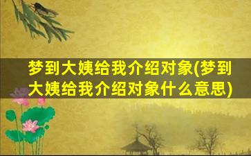 梦到大姨给我介绍对象(梦到大姨给我介绍对象什么意思)