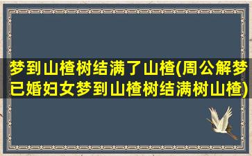 梦到山楂树结满了山楂(周公解梦已婚妇女梦到山楂树结满树山楂)