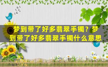 梦到带了好多翡翠手镯？梦到带了好多翡翠手镯什么意思