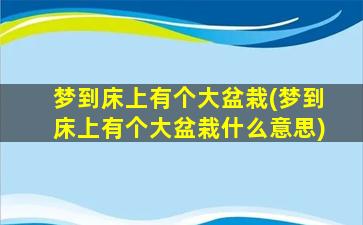 梦到床上有个大盆栽(梦到床上有个大盆栽什么意思)