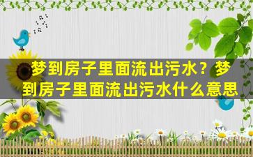 梦到房子里面流出污水？梦到房子里面流出污水什么意思