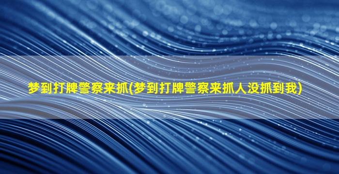 梦到打牌警察来抓(梦到打牌警察来抓人没抓到我)