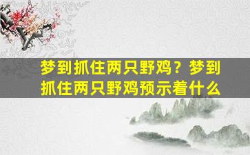 梦到抓住两只野鸡？梦到抓住两只野鸡预示着什么