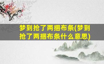 梦到抢了两捆布条(梦到抢了两捆布条什么意思)