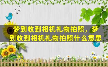 梦到收到相机礼物拍照，梦到收到相机礼物拍照什么意思