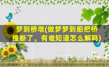 梦到桥墩(做梦梦到船把桥撞断了。有谁知道怎么解吗)