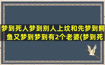 梦到死人梦到别人上坟和先梦到鳄鱼又梦到梦到有2个老婆(梦到死人又梦到别人结婚是什么意思)