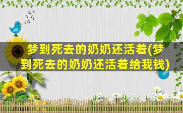 梦到死去的奶奶还活着(梦到死去的奶奶还活着给我钱)