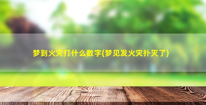 梦到火灾打什么数字(梦见发火灾扑灭了)